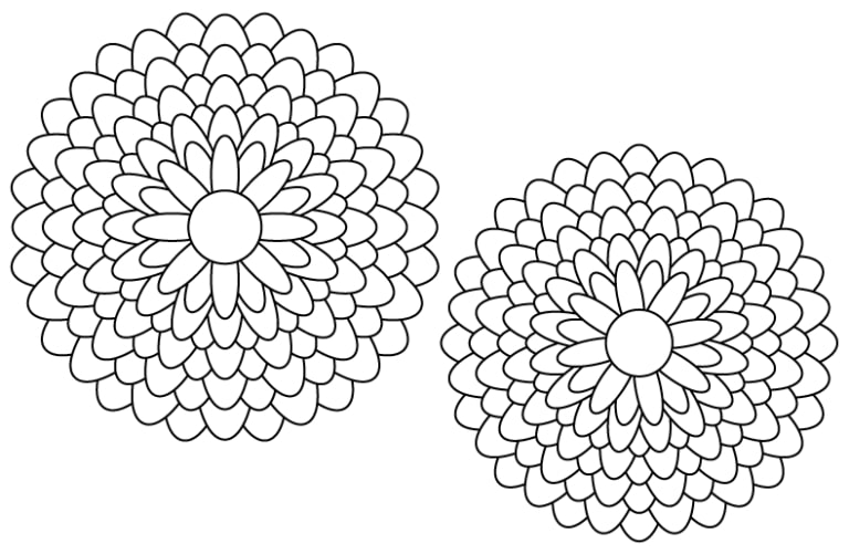 Dessin fleur de Dalila