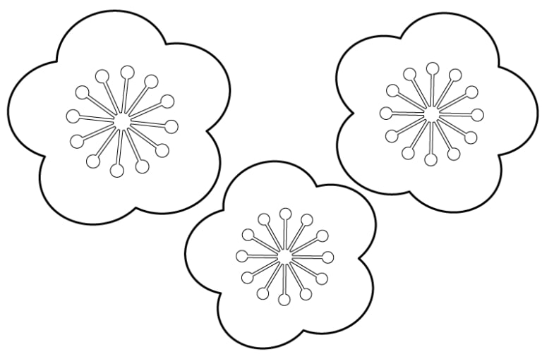coloriage fleur de prunier