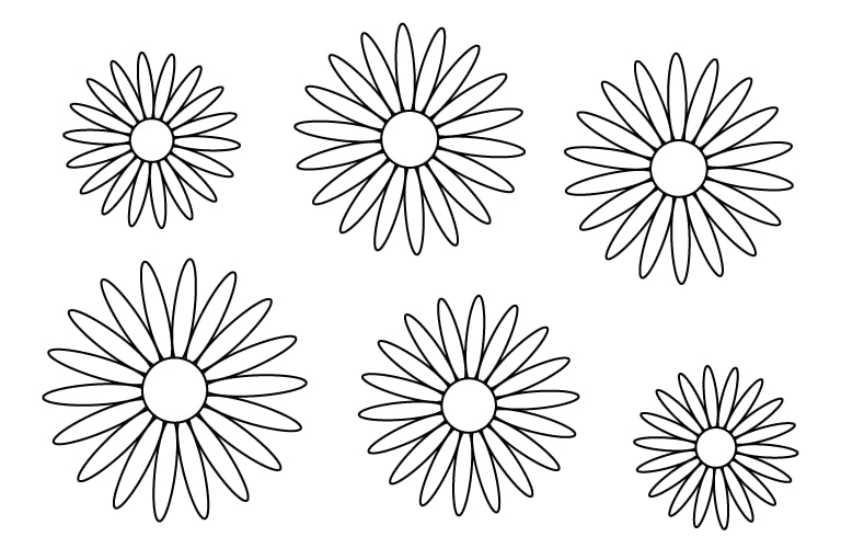 coloriage fleurs de marguerites