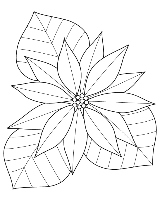 coloriage fleurs d'hiver