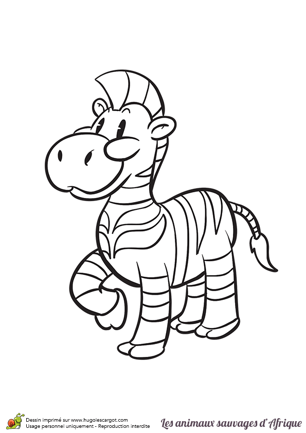 Coloriage Zèbre