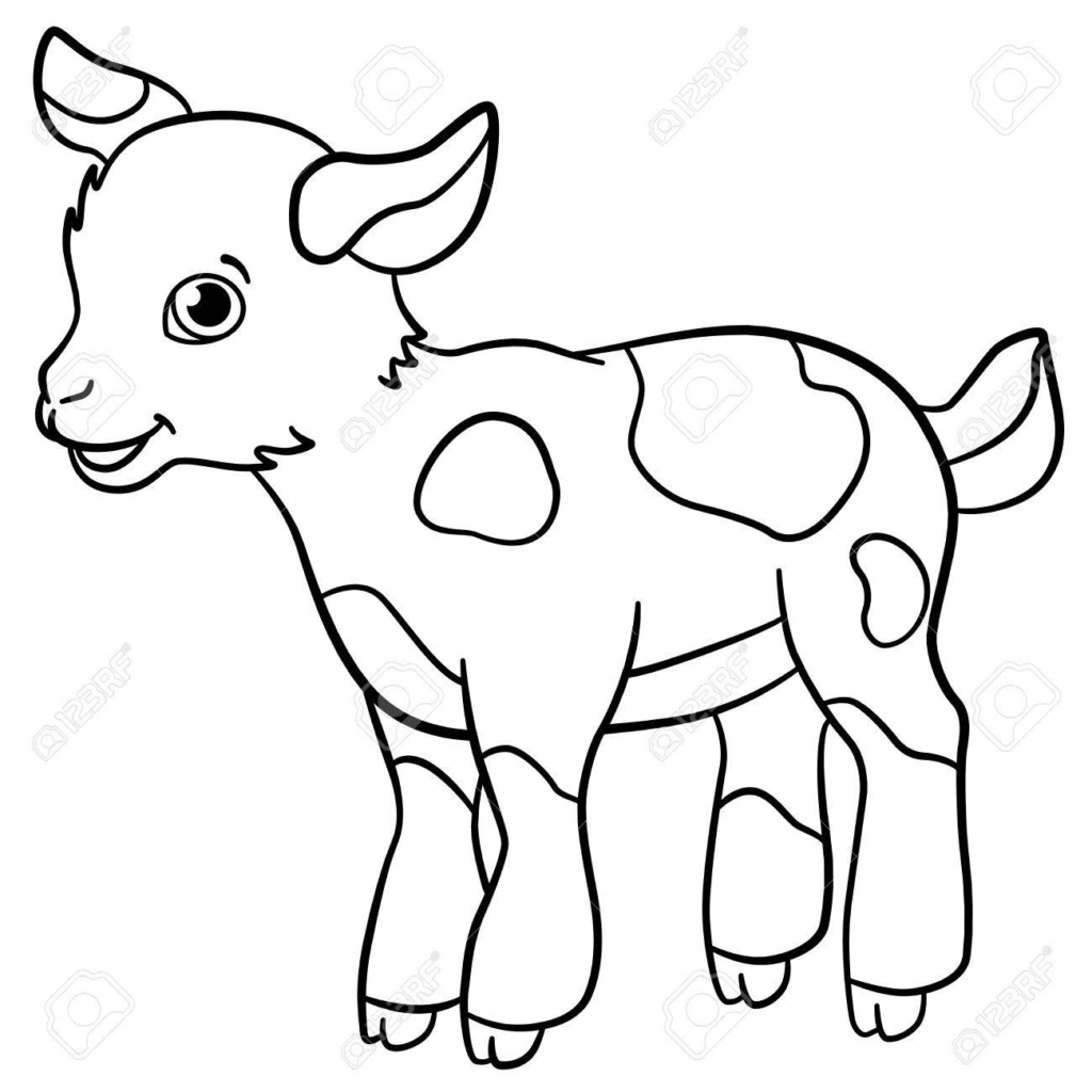 Coloriage brebis