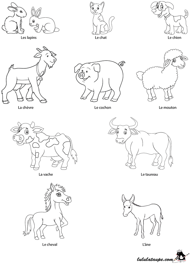 Coloriage animaux avec leurs noms