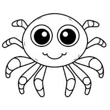 Coloriage araignée