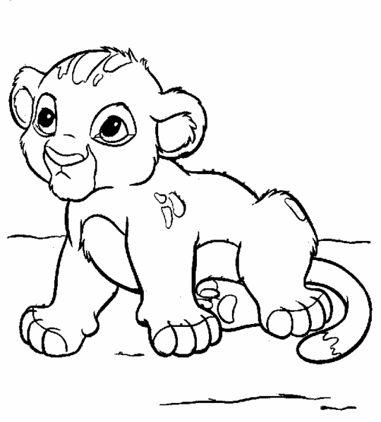 Coloriage petit lion