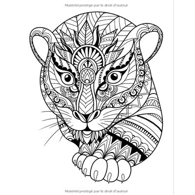 Coloriage Lion a colorier