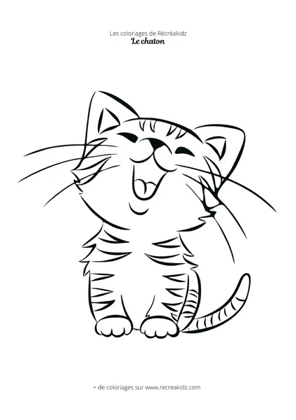 Coloriage chat