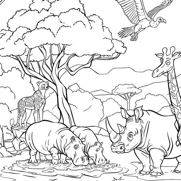 Coloriage animaux de la Savane